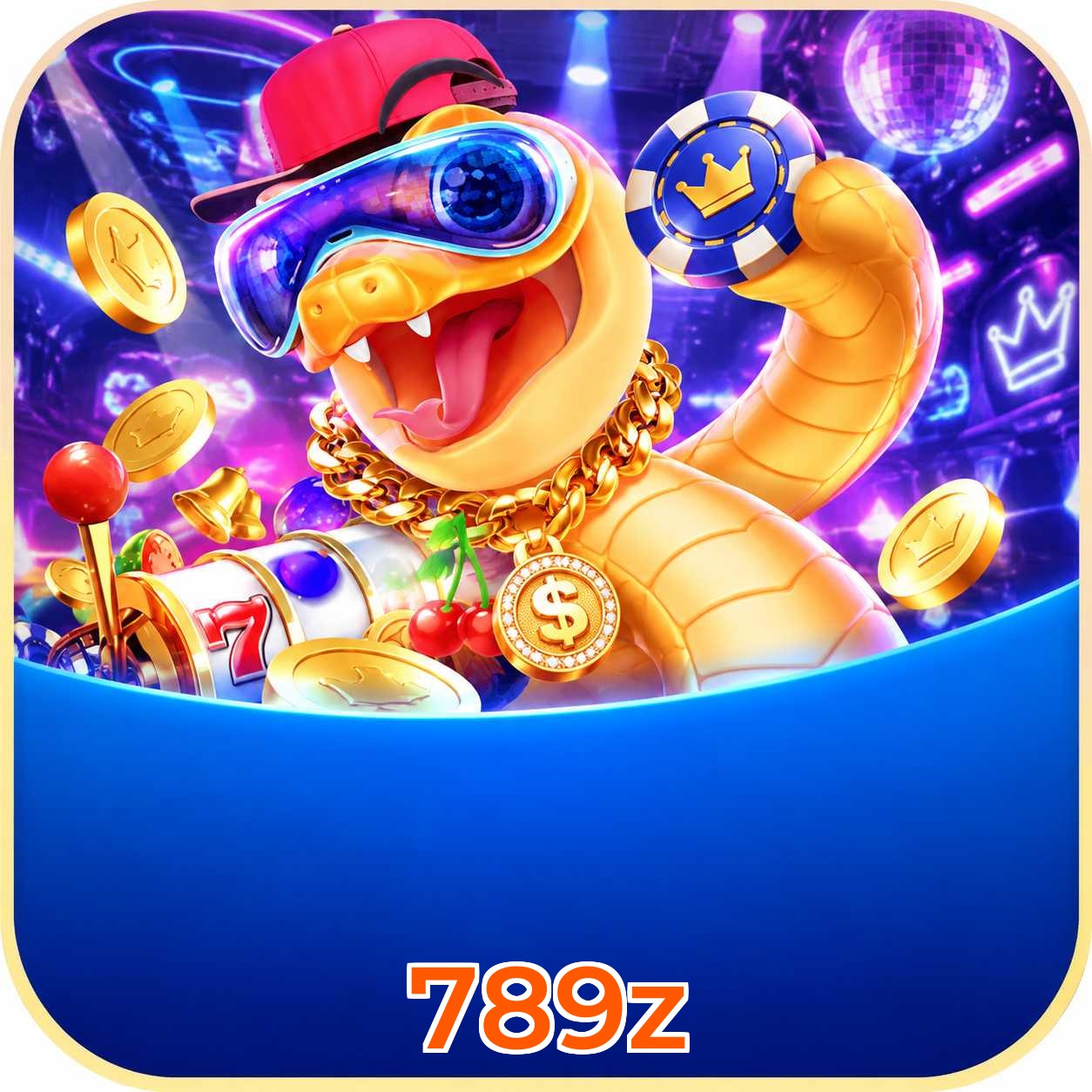 789z Requirements
